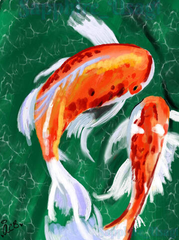 Koi Fish